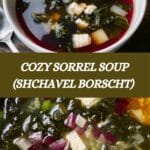 Shchavel Borscht (Sorrel Soup) Recipe