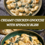 Creamy Chicken Gnocchi Recipe