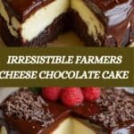 Farmers Cheese Chocolate Cake Recipe