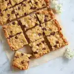 Oatmeal Chocolate Chip Bars Recipe