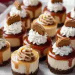 No Bake Mini Biscoff Cheesecakes Recipe