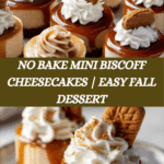 No Bake Mini Biscoff Cheesecakes Recipe